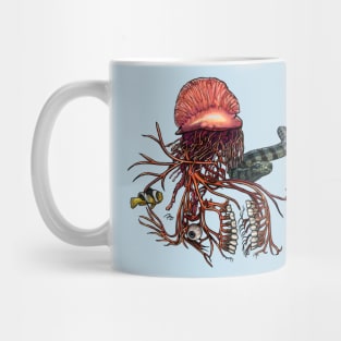 Cranial Nerves & Neurotoxins in the Pacific Mug